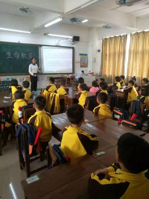 重庆小学爆料事件最新,揭开校园安全与管理的隐秘面纱