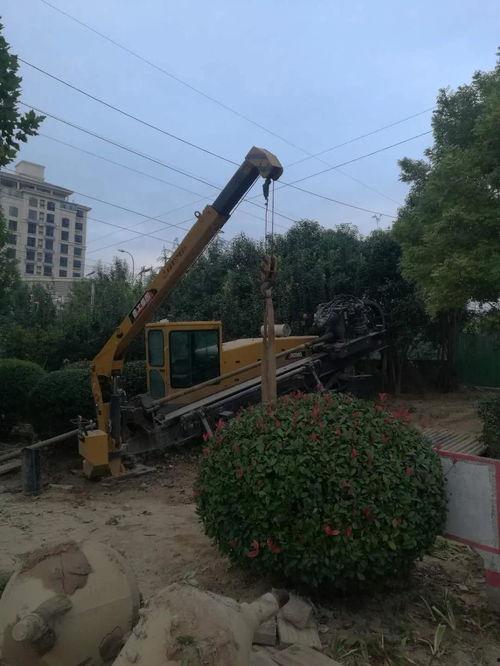 济宁嘉祥爆料事件最新,真相揭秘，网络舆论漩涡中的校园风云